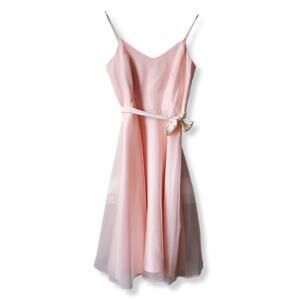 Vtg 50s Fit Flare Baby Pink Organza Picnic Dress S Ballerina Romantic Delicate